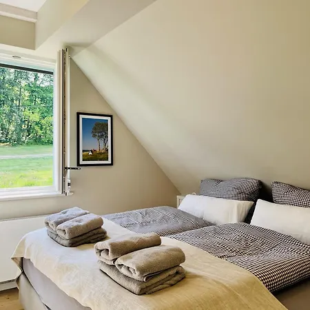 Strandflieder 05 Klein Stresow Ruegen By Ruyastay פוטבוס