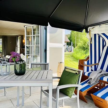 Strandflieder 05 Klein Stresow Ruegen By Ruyastay *