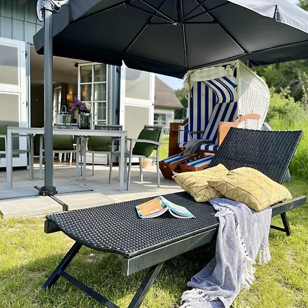 Strandflieder 05 Klein Stresow Ruegen By Ruyastay *